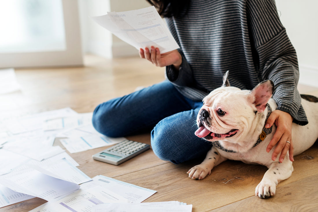 Navigating the Financial Realities of COVID-Era Pet Ownership