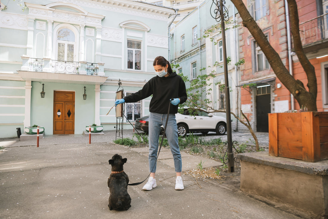 Daycare or DIY? A COVID Pet Owner's Guide
