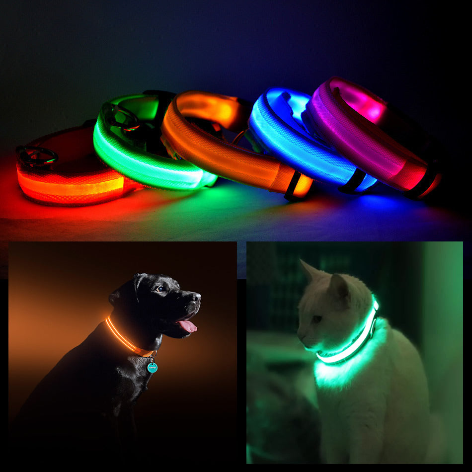 LED Safety Collar