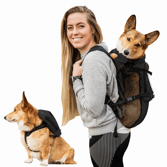 Walk-On Backpack with Harness & Storage