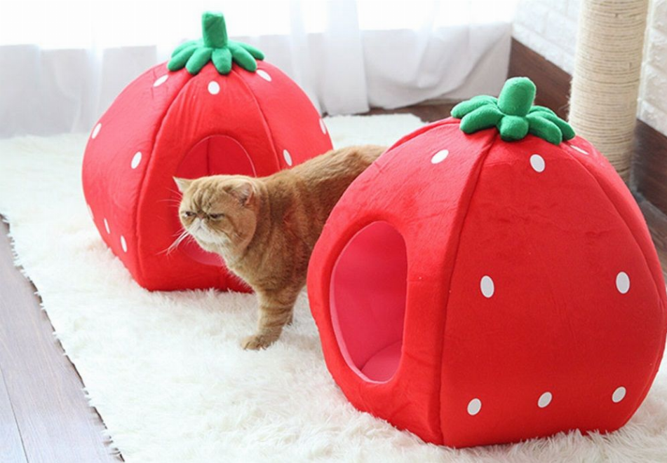 Strawberry Pet Bed House