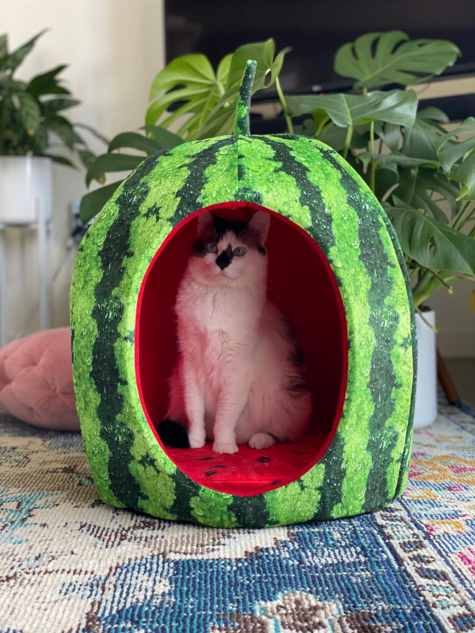 Watermelon Pet Bed House