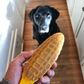 Corn on the Cob Chew Toy for Aggressive Chewers