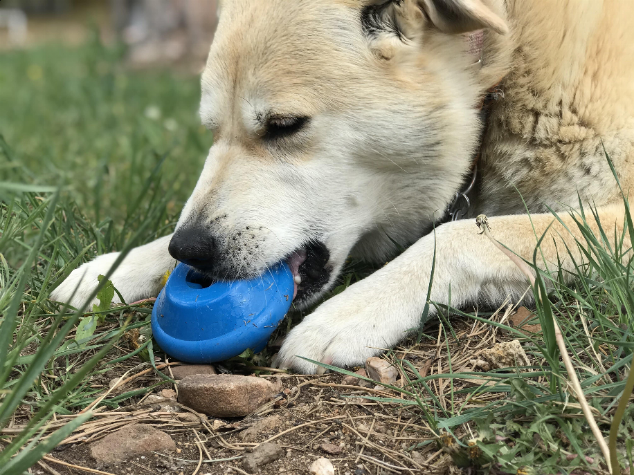SodaPup Flying Saucer Chew Toy and Treat Dispenser