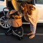 Newport Pet Stroller (3-in-1 Travel System)