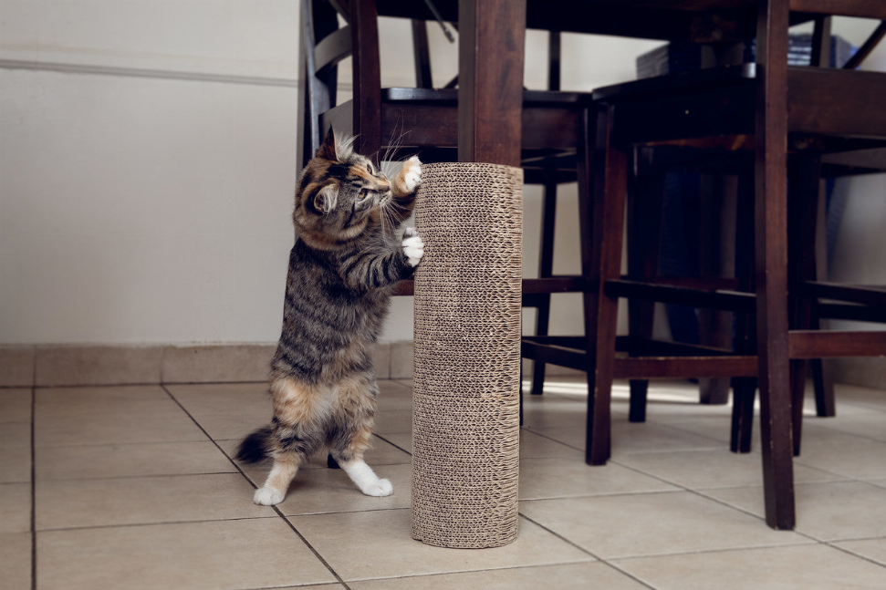 Kitty Corner Cat Scratching Post (2 pieces)