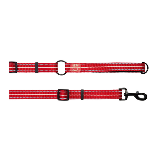 6' Reflective Leash - Red