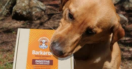 Barkaron With Chicken/Digestive & Wellbeing Support Treats
