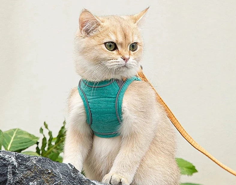 Adjustable Cat Harness With Leash