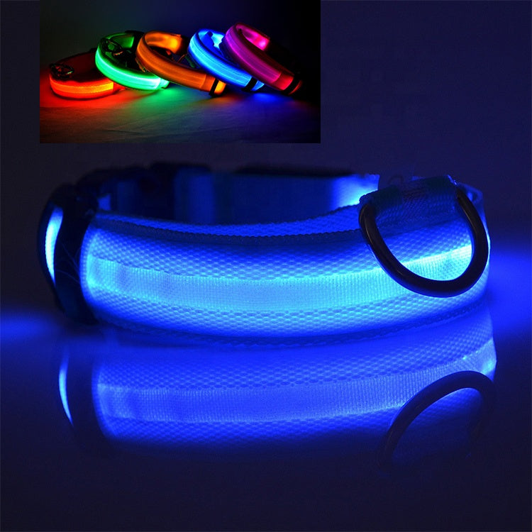 USB Rechargeable LED Collar