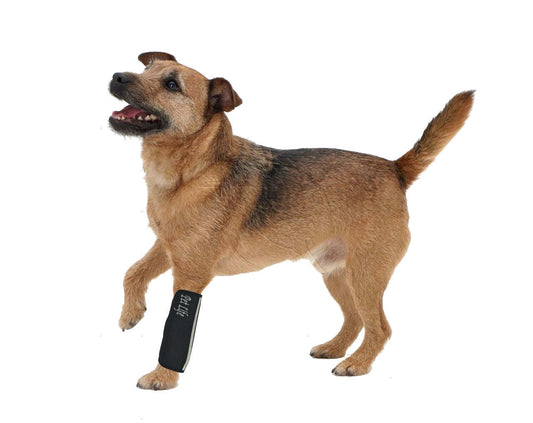 Extreme-Neoprene Joint Protective Reflective Pet Sleeves- Black