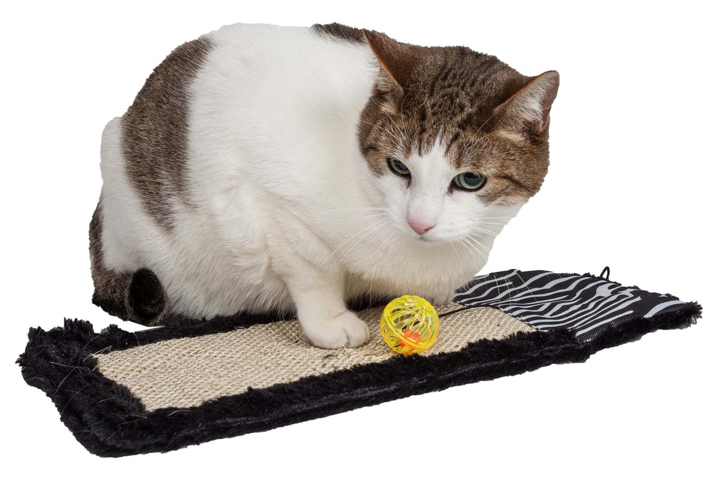 Sisal And Jute Hanging Carpet Scratcher With Toy