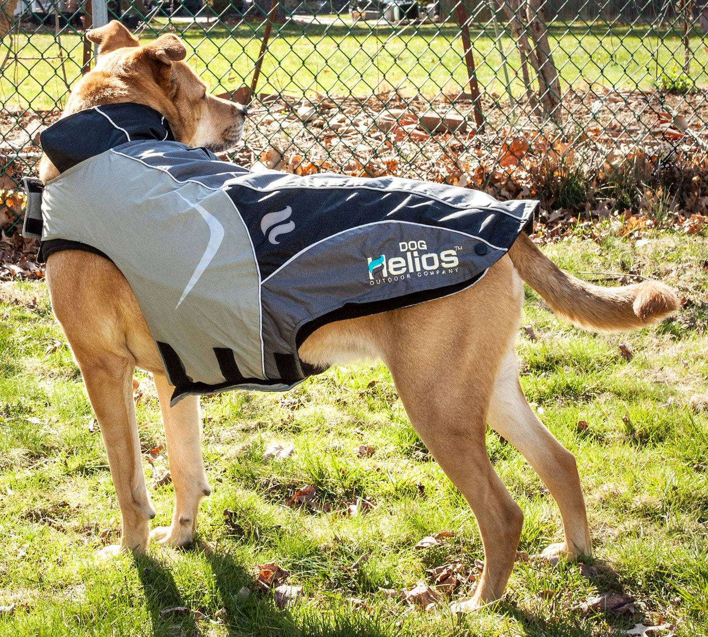 Waterproof 2-in-1 Convertible Dog Jacket