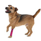 Extreme-Neoprene Joint Protective Reflective Pet Sleeves- Pink