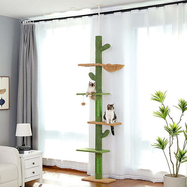 5-Level Floor to Ceiling Cactus Cat Tower
