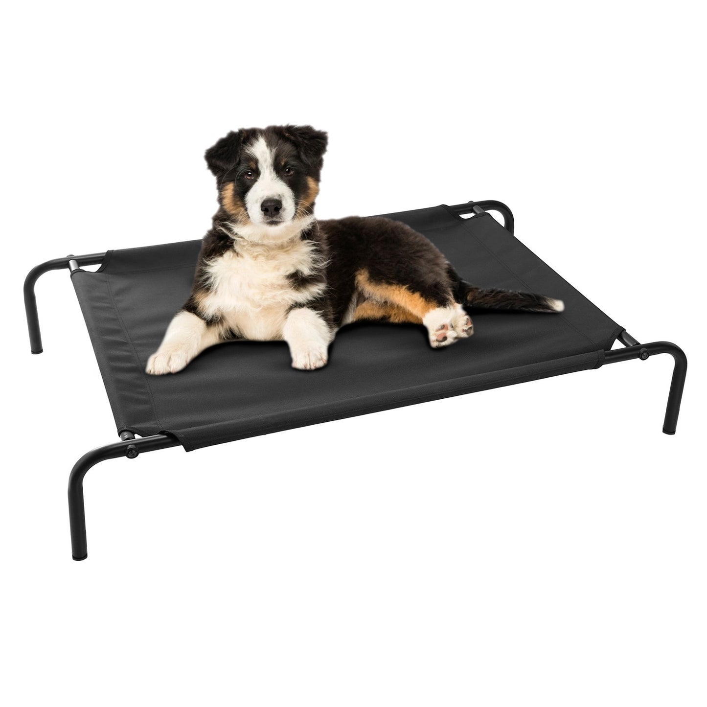 41" Elevated Pet Bed
