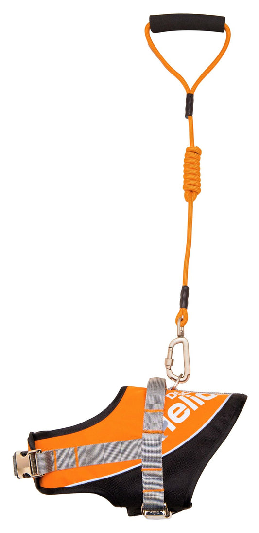 Reflective 2-in-1 Tension Leash & Harness