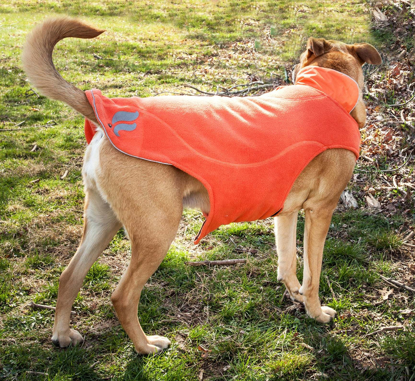 Waterproof 2-in-1 Convertible Dog Jacket