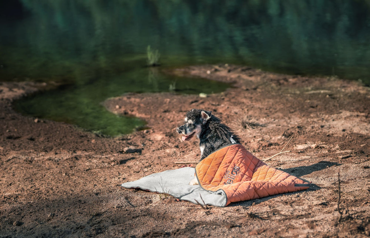 3-in-1 Expandable Travel/Camping Dog Mat