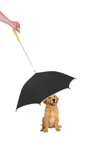 Leash with Umbrella