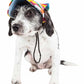 'Colorfur' UV Protectant Adjustable Dog Hat