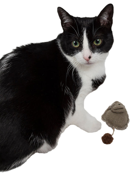 Mouse Toy with Catnip
