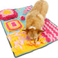 Sniffer Snack Snuffle Mat