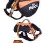 3-in-1 Explorer: Convertible Backpack, Harness & Leash- Orange